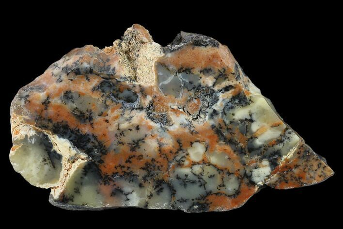 Polished Wanong Dendritic Opal Slab - Australia #132914